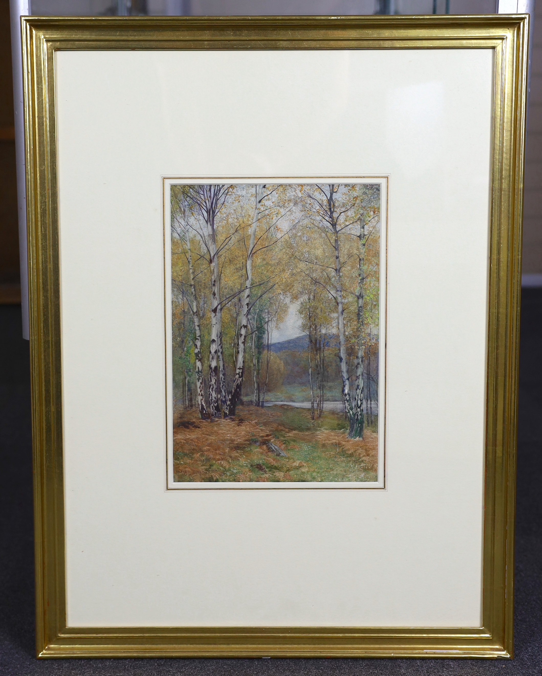 James Thomas Watts (English, 1853-1930), 'Autumn among Birch trees' & ‘A little Welsh stream in autumn', watercolours, a pair, 34.5 x 24.5cm, Please note this lot attracts an additional import tax of 5% on the hammer pri